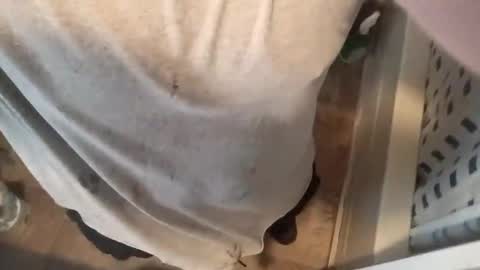 Snapshot of ellebonoparte chatting on November 2025 07:38:02 PM ellebonoparte online show from November 2025 07:38:02 PM