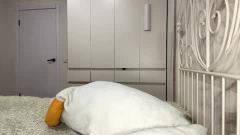 Rosa online show from January 2026 01:04:02 PM