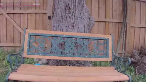 Snapshot of ells_palace chatting on September 2025 05:13:02 PM Ella Bella Bo Bella online show from September 2025 05:13:02 PM