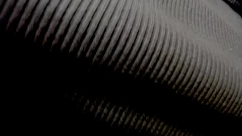 Snapshot of ellylovee chatting on April 2026 11:30:02 AM Elly online show from April 2026 11:30:02 AM