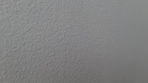 elosocazador online show from December 2024 07:43:01 PM