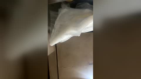 Snapshot of elpresi253 chatting on April 2026 06:55:01 PM elpresi253 online show from April 2026 06:55:01 PM