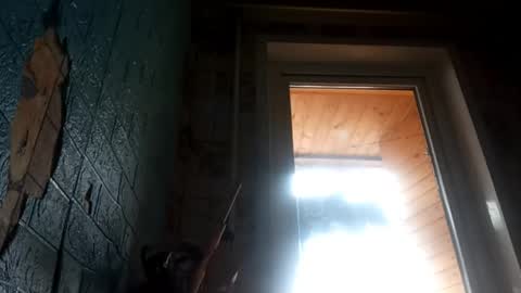 Snapshot of elsiehasselkus chatting on April 2026 09:45:01 AM Alisa online show from April 2026 09:45:01 AM