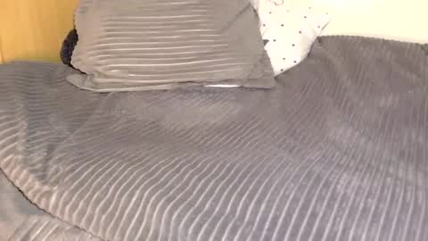 Snapshot of elysey chatting on February 2026 06:46:01 PM Elysey online show from February 2026 06:46:01 PM