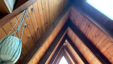 popalottapuss - puddin tits - daddy - buttercup - bonfire - Mrs. Fuck Yea - hibeams - honey buns - online show from April 2026 06:35:01 PM