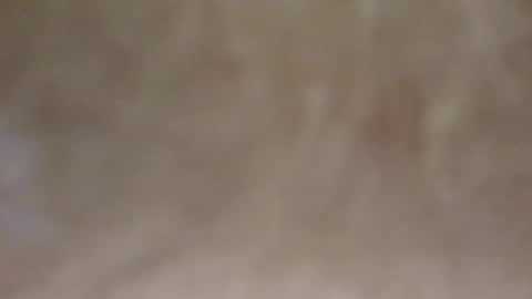 emilmirror online show from February 2025 07:54:02 AM