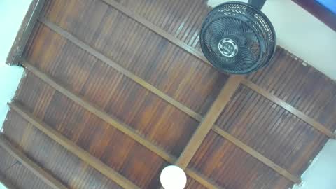 Emily  online show from January 2026 11:03:01 AM