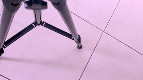 Snapshot of emily_castillo1_ chatting on November 2025 03:23:02 AM emily_castillo1_ online show from November 2025 03:23:02 AM