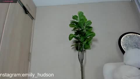 independet model online show from June 2026 09:49:01 PM
