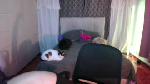 Snapshot of emily_swan_04 chatting on April 2026 01:47:01 AM Emily Swan online show from April 2026 01:47:01 AM