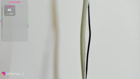 Snapshot of emilyruiz1 chatting on April 2026 05:07:01 PM Emily online show from April 2026 05:07:01 PM