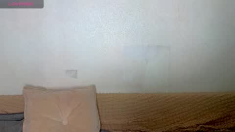 Emily wish-list  online show from February 2026 07:30:01 AM