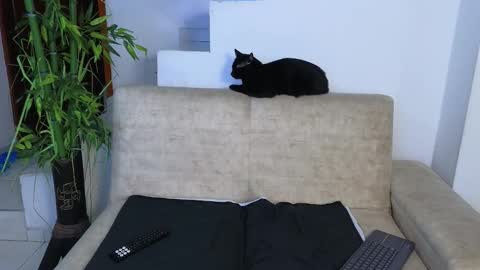 Snapshot of emma_blue_ chatting on March 2026 03:12:01 AM Emma Blue modelo independiente online show from March 2026 03:12:01 AM