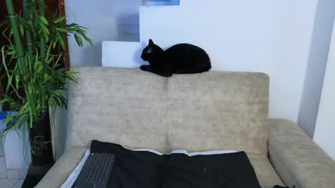 Snapshot of emma_blue_ chatting on April 2026 03:53:01 AM Emma Blue modelo independiente online show from April 2026 03:53:01 AM