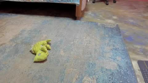 Snapshot of emma_lean chatting on February 2025 12:28:01 PM whises lits online show from February 2025 12:28:01 PM