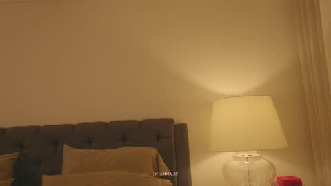 Snapshot of emma_lu1 chatting on January 2026 11:14:01 PM emma_lu1 online show from January 2026 11:14:01 PM