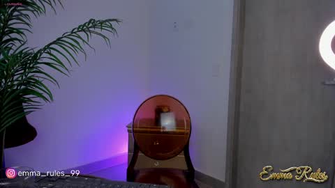 Snapshot of emma_rules99 chatting on February 2025 07:49:02 PM Emma online show from February 2025 07:49:02 PM