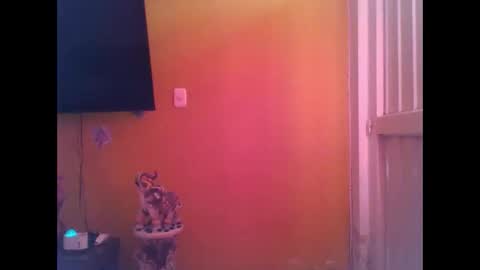 Snapshot of emmasplycer chatting on April 2026 09:16:02 PM EmmaSplycer online show from April 2026 09:16:02 PM