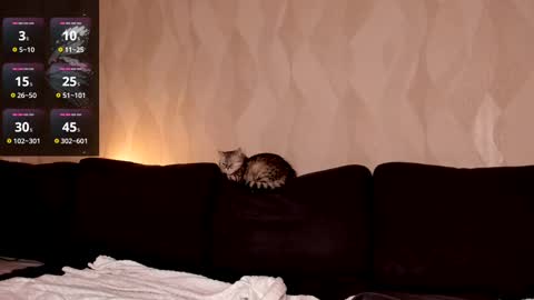 Shaiya online show from March 2025 08:29:02 PM