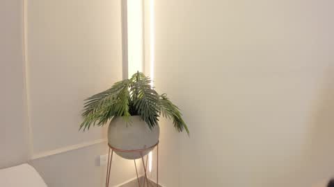 Emmiily online show from January 2025 02:04:01 AM