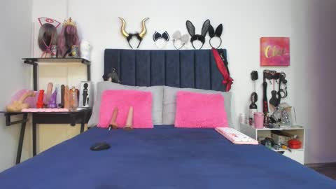          online show from December 2025 02:23:02 PM