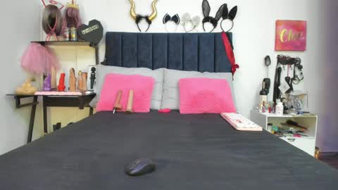          online show from April 2026 12:49:01 PM