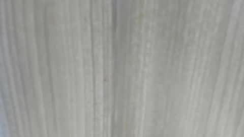 emycarver09 online show from February 2026 11:31:02 AM