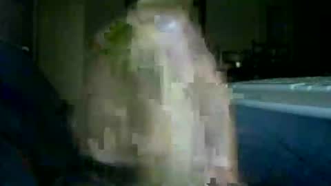 encormoi online show from November 2025 08:46:02 AM