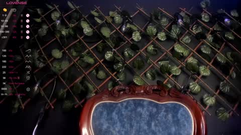 ENJU  I will be back online at 830PM GMT-5 online show from December 2024 04:53:01 AM