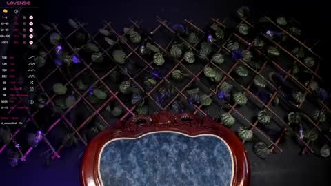 ENJU  I will be back online at 830PM GMT-5 online show from December 2024 01:54:01 AM