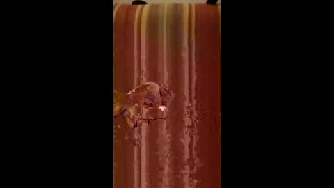 enricoital online show from December 2025 07:01:02 AM