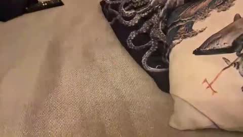 Snapshot of erosforcouples chatting on October 2025 11:27:01 PM erosforcouples online show from October 2025 11:27:01 PM