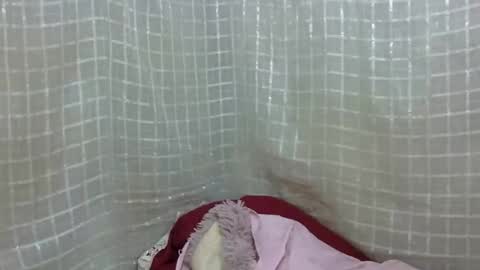 erotic_ebony56 online show from April 2026 08:04:02 AM