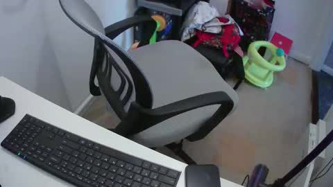 Snapshot of essex_wild chatting on February 2025 12:16:01 PM Morph online show from February 2025 12:16:01 PM