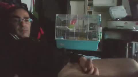 esthelion online show from November 2025 11:16:02 AM