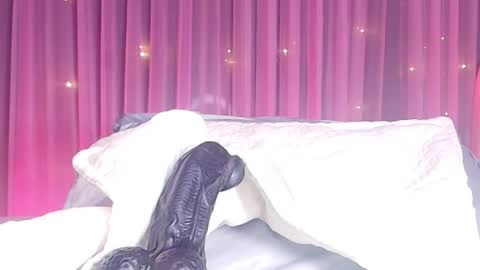 Estrella online show from February 2026 11:52:01 AM