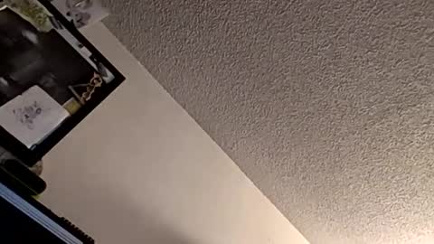 Snapshot of et528007 chatting on November 2025 05:07:02 AM et528007 online show from November 2025 05:07:02 AM