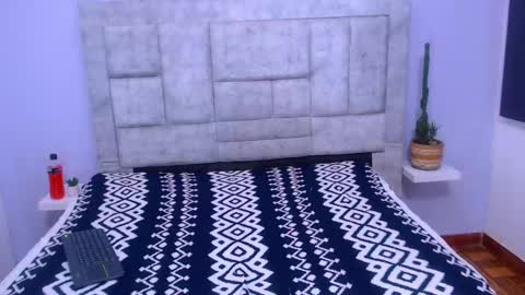 Snapshot of ethan_villa chatting on February 2025 03:57:02 PM Ethan Villa online show from February 2025 03:57:02 PM