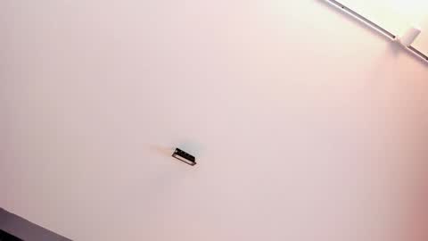 EVA  online show from January 2025 02:56:02 PM