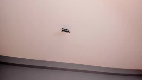 EVA  online show from February 2025 02:22:02 PM