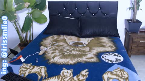 Iris Smile  independent model online show from December 2024 03:36:02 AM