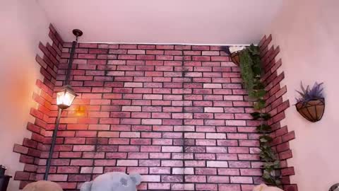 Eva online show from October 2025 10:08:02 PM