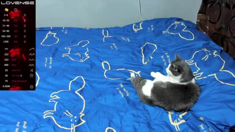 Snapshot of eva_zero chatting on January 2025 01:03:01 PM Eva online show from January 2025 01:03:01 PM