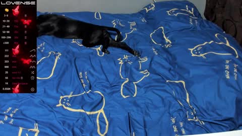 Snapshot of eva_zero chatting on January 2025 01:01:01 PM Eva online show from January 2025 01:01:01 PM