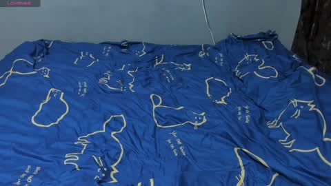 Snapshot of eva_zero chatting on January 2025 03:25:01 PM Eva online show from January 2025 03:25:01 PM