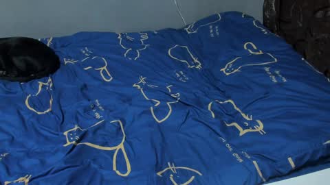 Snapshot of eva_zero chatting on February 2025 03:20:02 PM Eva online show from February 2025 03:20:02 PM