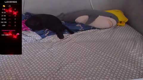 Snapshot of eva_zero chatting on February 2025 12:57:02 PM Eva online show from February 2025 12:57:02 PM