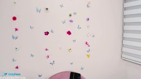 Eva online show from November 2025 11:15:01 PM