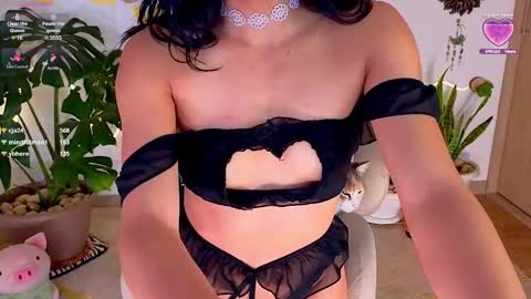 Im Eve or Chelle Next Stream 191224  online show from March 2025 01:06:01 AM