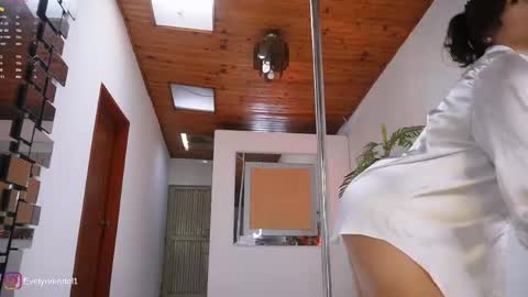 Snapshot of evelyn_evelyn chatting on June 2026 05:02:02 PM evelyn evelyn online show from June 2026 05:02:02 PM